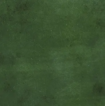 Charlie & Paulchen Design Cardstock Stone Effect olivgrün